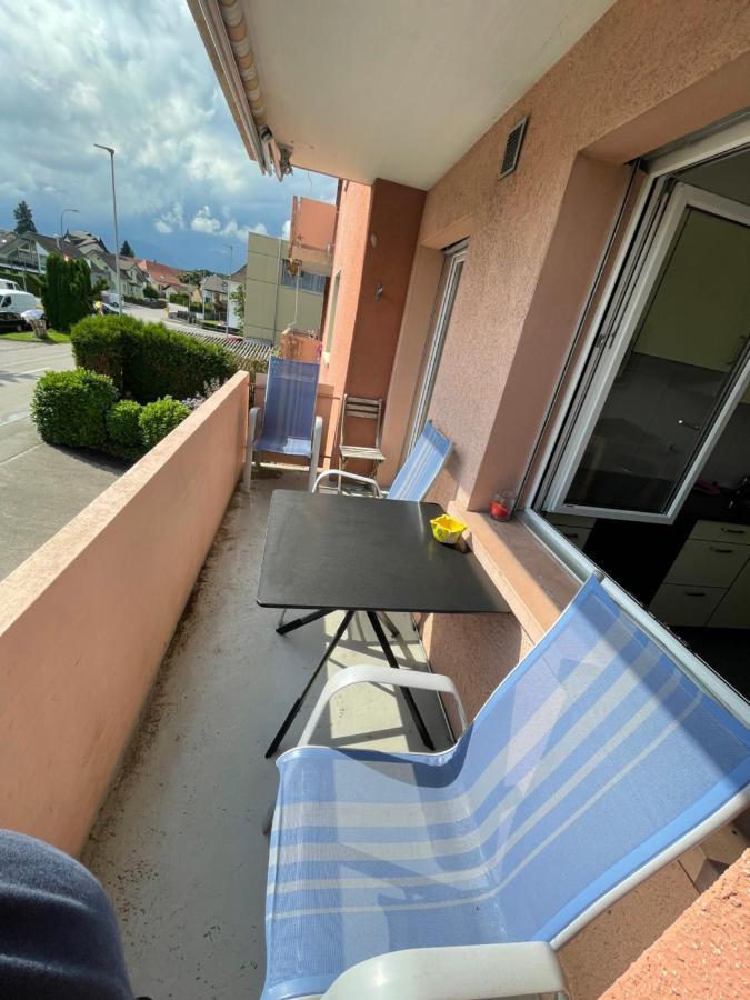 3-Room Apartment For Business Travelers & Families, Free Wifi & Tv With 70 Countries, Dazn, Sky, Netflix & Disney Wynau Екстериор снимка