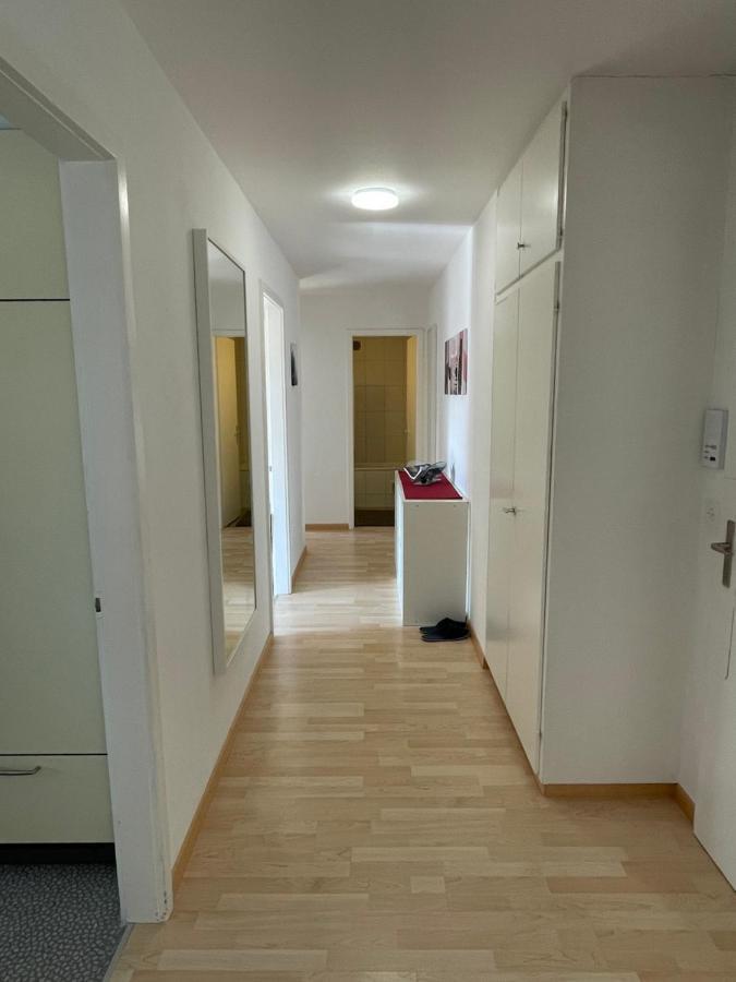 3-Room Apartment For Business Travelers & Families, Free Wifi & Tv With 70 Countries, Dazn, Sky, Netflix & Disney Wynau Екстериор снимка